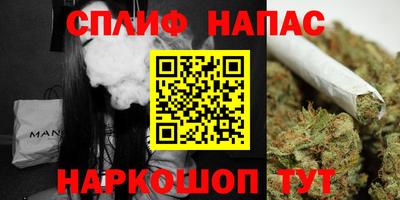 МДПВ Волжск