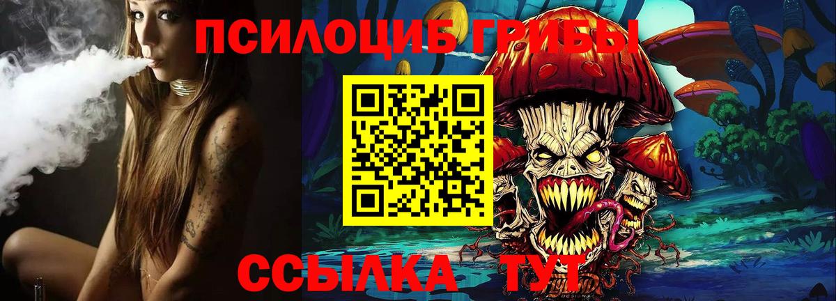 Новочеркасск  купить наркотики сайты  Вход с VPN  Псилоцибиновые грибы GOLDEN TEACHER  Галлюциногенные грибы Psilocybine cubensis 