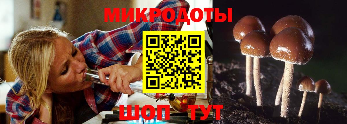 Псилоцибиновые грибы ЛСД Новочеркасск